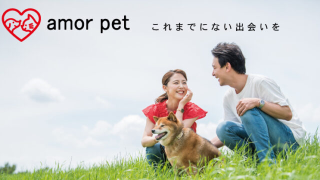 ペット好きのための、婚活・恋活・友達探しのマッチングアプリ「アモル ペット」が、会員向けに遺書動画サービス「ITAKOTO」を利用開始のメイン画像