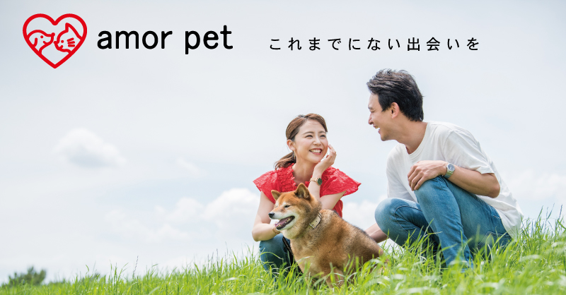 ペット好きのための、婚活・恋活・友達探しのマッチングアプリ「アモル ペット」が、会員向けに遺書動画サービス「ITAKOTO」を利用開始のメイン画像