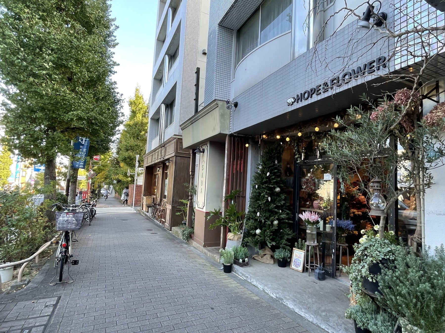 東急バス、Pairs、RYDE PASSが初のコラボレーション冬のデートを応援！「冬のペアワンデーパス」を期間限定販売のサブ画像4