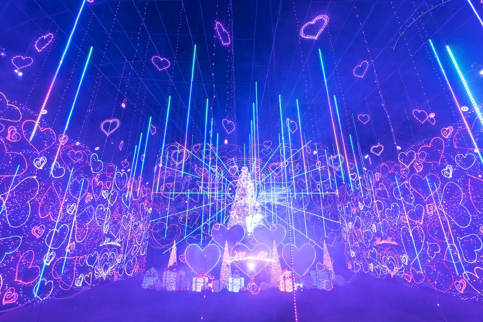 マッチングアプリ「タップル」、さがみ湖プレジャーフォレストとコラボイベント「絶景デート powered by タップル」を開催 のサブ画像2