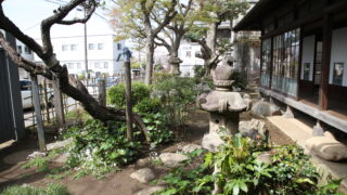 【千葉県佐倉市】初の年齢別、婚活イベント！(7/15～7/16開催)「古民家婚活～二人の歴史もここから始まる～」参加者募集(6/23締切)のメイン画像