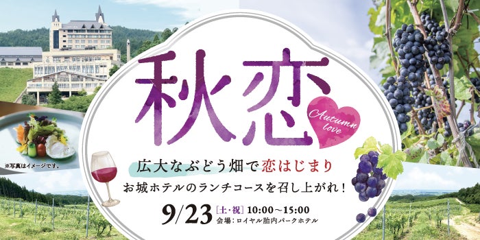 2023/9/23（土）新発田市・胎内市・聖籠町定住自立圏婚活支援事業：秋恋　広大なぶどう畑で恋はじまり【ランチコース付き！】 を開催しますのサブ画像2